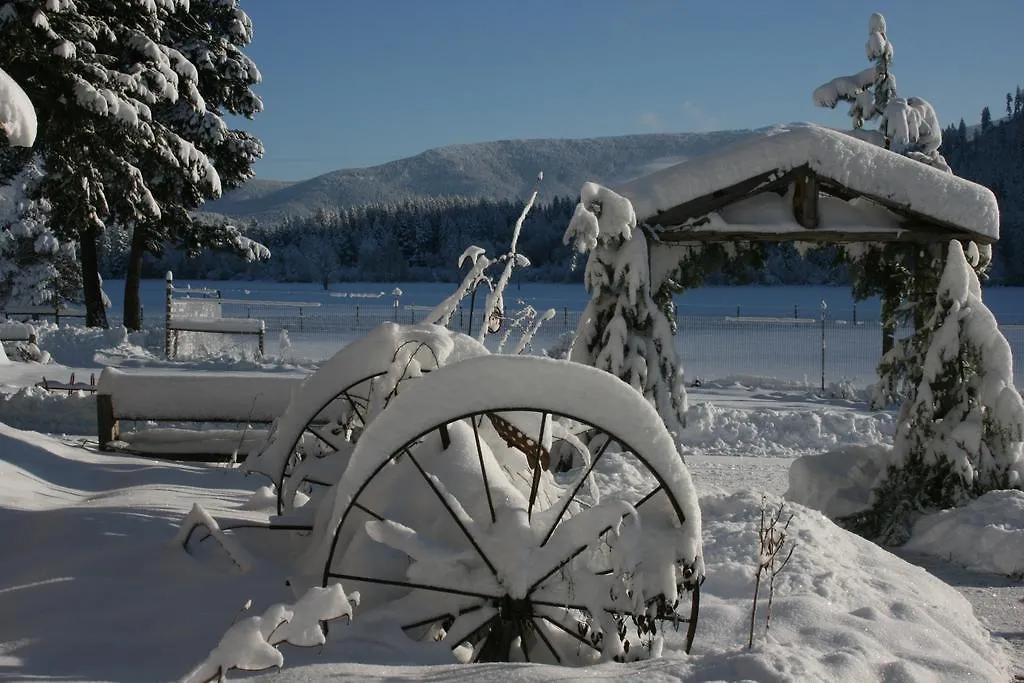 Cedar Mountain Farm Bed And Breakfast Llc-1